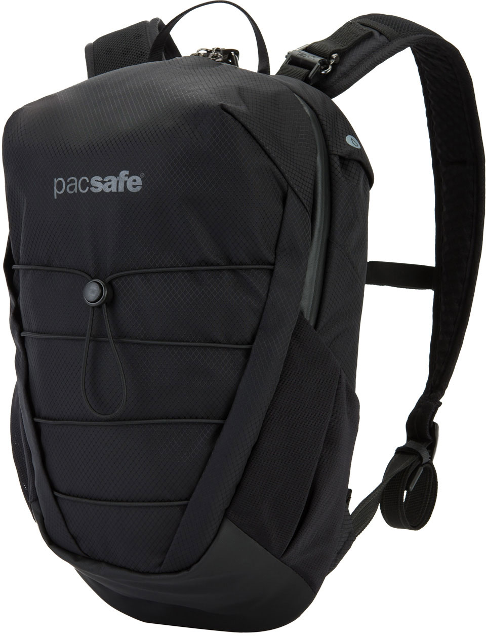 Pacsafe venturesafe 2025 x12 backpack