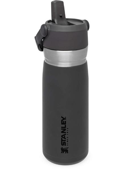 Go Flip Straw Water Bottle, 0.65L